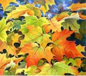 Autumn- Water Color- Iranjoman (1).jpg