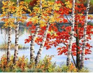 Autumn- Water Color- Iranjoman (8).jpg