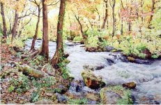 Autumn- Water Color- Iranjoman (10).jpg