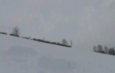 166189_401.gif