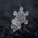 Alexey-Kljatov-macro-photography-snowflakes4.jpg