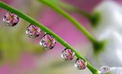 water-drops-miki-asai-1__880.jpg