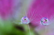 water-drops-miki-asai-7__880.jpg