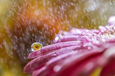 water-drops-miki-asai-9__880.jpg