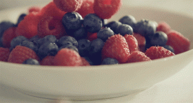 style-save-us-berries.gif