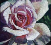 Rose-Color Pencil-Iranjoman (9).jpg