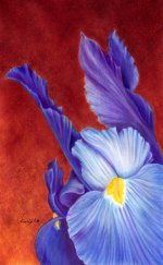 Zanbagh-Color Pencil-Iranjoman (3).jpg