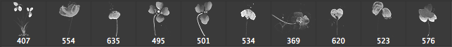 watercolor-flower-brushes.png