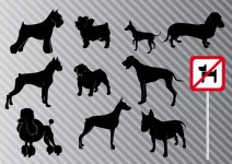 Vector-Dog-Graphics-03.jpg