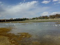 201103141108.jpg