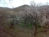 201104021162.jpg