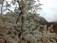 201104031221.jpg