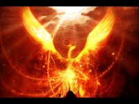 PhoenixBird.jpg PhoenixBird.jpg