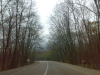 201104031231.jpg