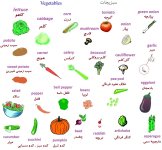 Vegetables.jpg