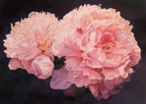 peonies_email_2.jpg