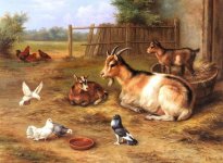 Hunt_Edgar_A_farmyard_Scene_With_Goats_Chickens_Doves.jpg