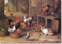 edgar-hunt-chickens-rabbits-and-pigeons-approximate-original.jpg