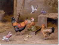 edgar-hunt-farm-animals-chickens-in-a-farmyard-with-pigeons-.jpg