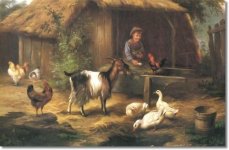 edgar-hunt-feeding-time-1902-approximate-original-size-20x30.jpg