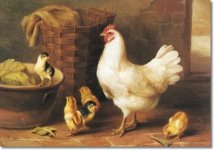 edgar-hunt-poultry-1918-approximate-original-size-6x9.jpg