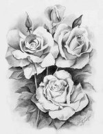 roses-drawing.jpg