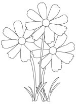 flower-bouquet-drawing.jpg