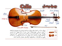 cello1.jpg