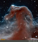 horseheadnebula.jpg